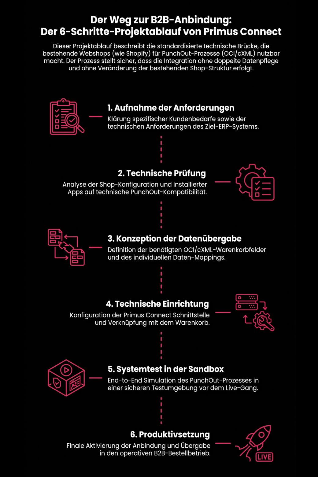 Primus Connect - 6 Schritte B2B Projektablauf in der Infografik Primus Connect - 6 Schritte B2B Projektablauf in der Infografik